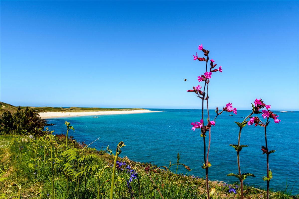 Insel Herm
