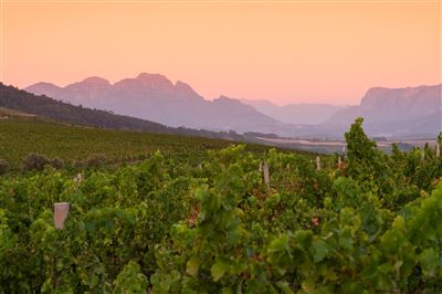 Von Kapstadt bis zum Krüger Nationalpark – Rundreise