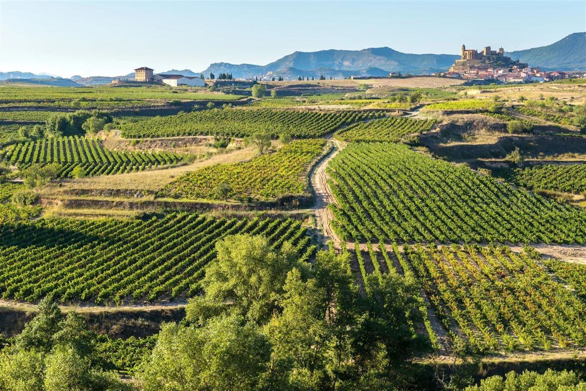 shutterstock_402732421_La Rocha