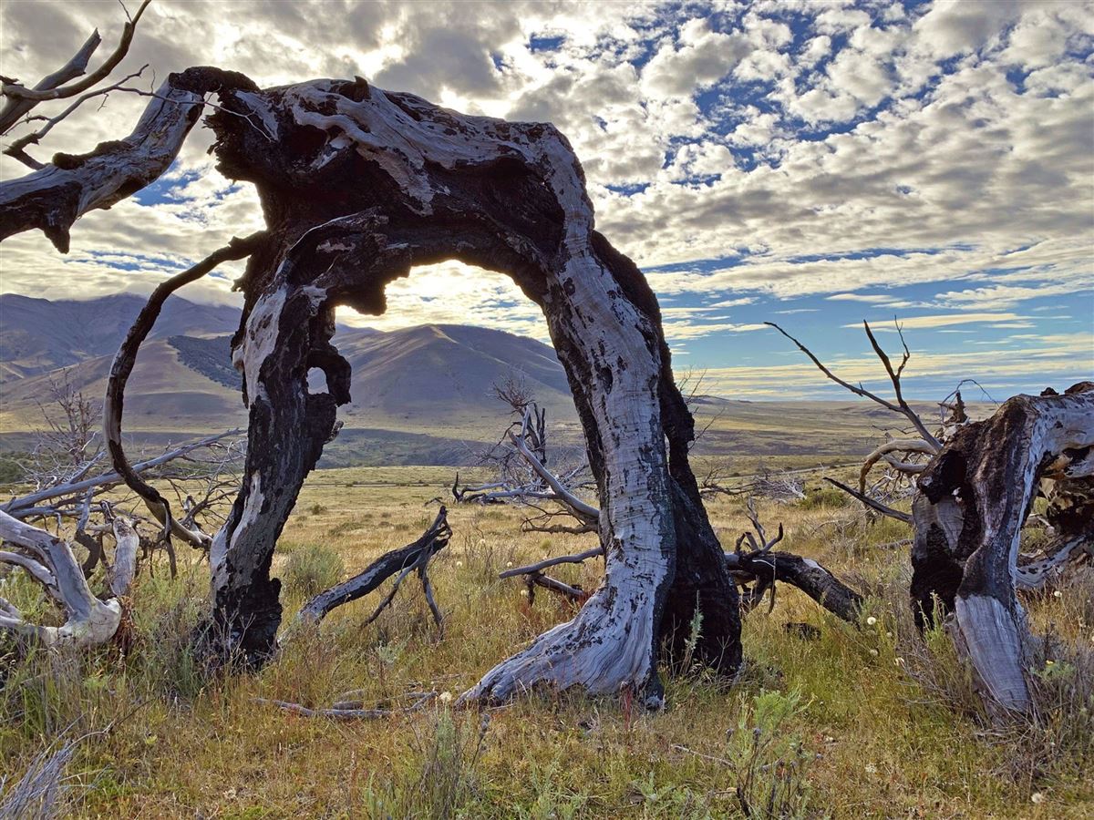 Impressionen im Nationalpark Torres del Paine