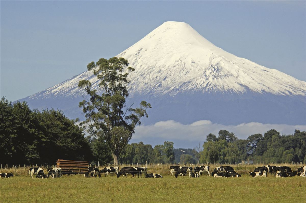 Der Vulkan Osorno (2.652 m) im südchilenischen Seengebiet