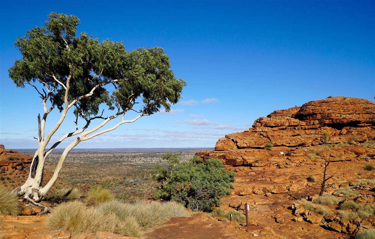 Kings Canyon Australien