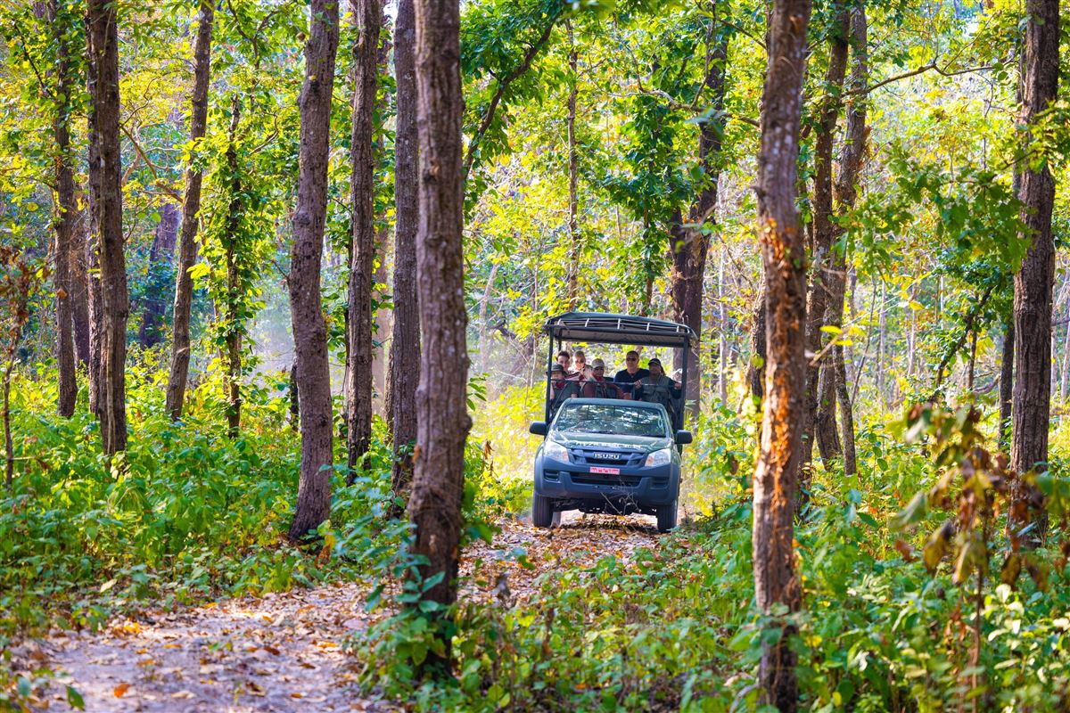 Unterwegs mit dem Geländewagen durch den Chitwan-Nationalpark in Nepal