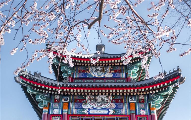 Städtereise Peking & Shanghai – Rundreise