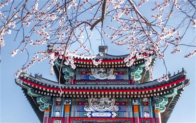 Städtereise Peking & Shanghai – Rundreise