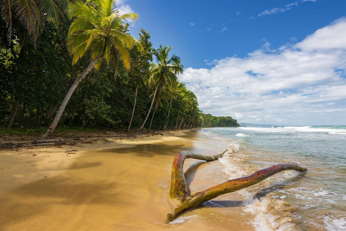 Costa Rica, Puerto Viejo de Talamanca