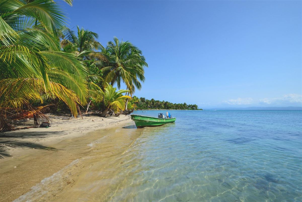 Panama, Bocas del Toro, Star fish beach