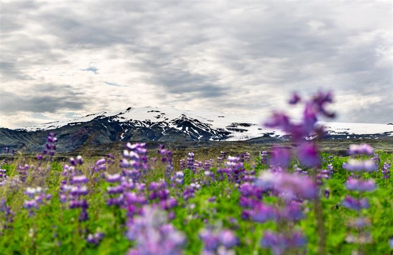 Hochland, Gletscher, Naturwunder – Rundreise