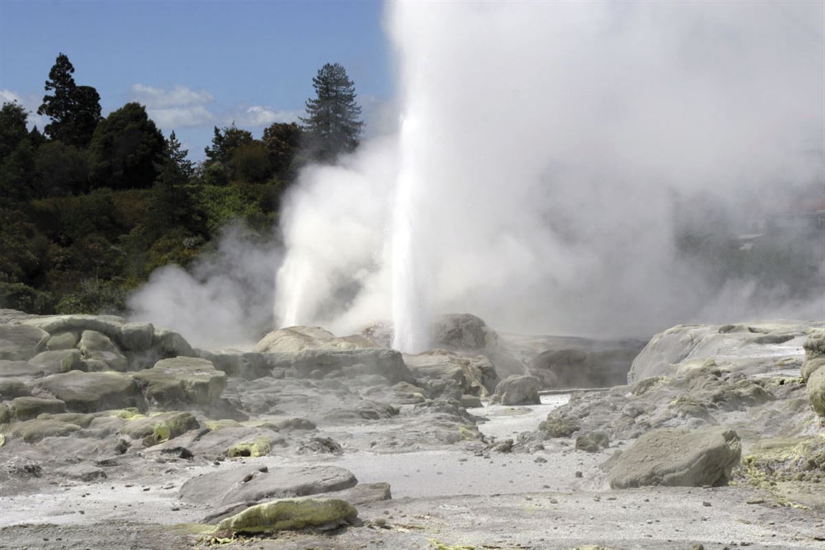Geysir bei Rotorua