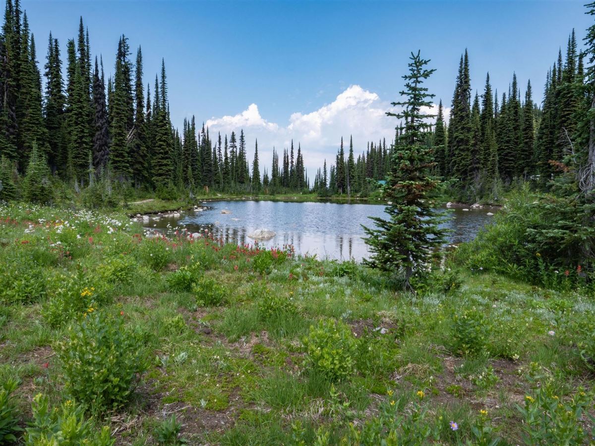 Kanada, Revelstoke Nationalpark