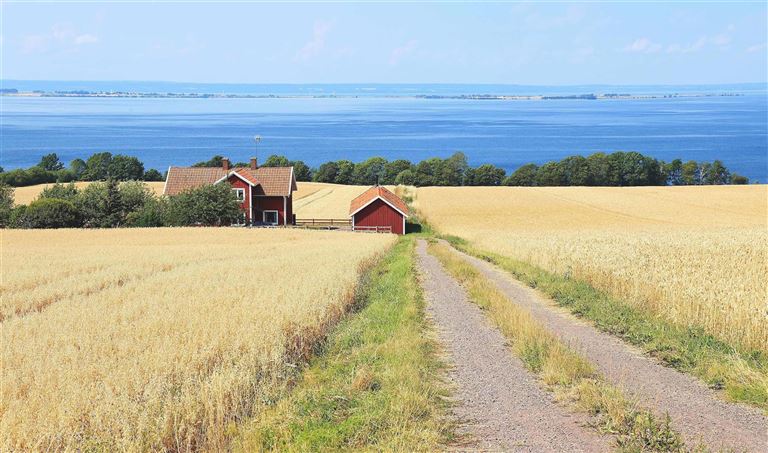 Zwischen Naturgenuss & schwedischer Gelassenheit – Rundreise