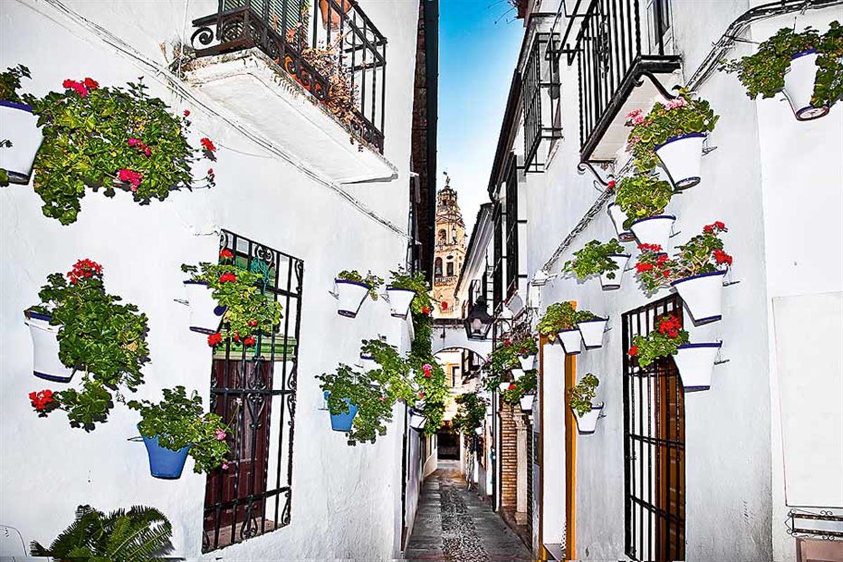 Cordoba