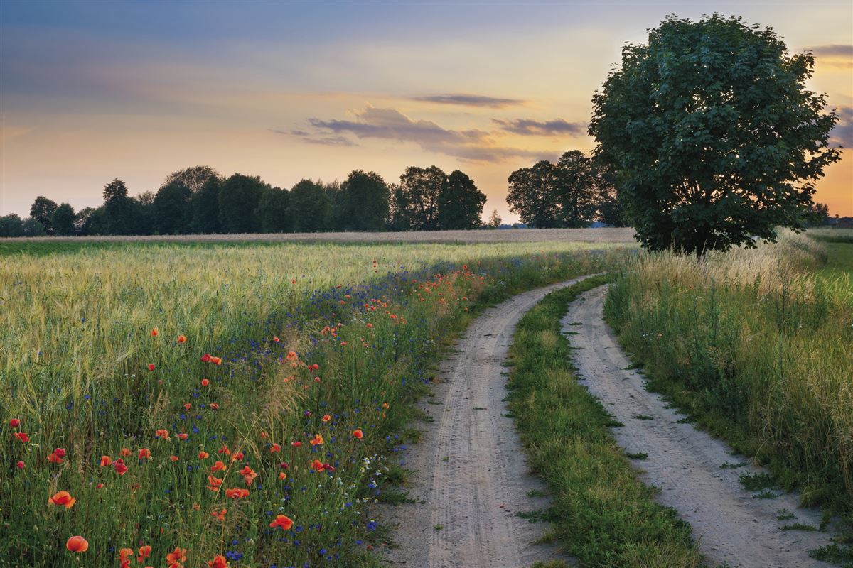 Polnische Naturlandschaft