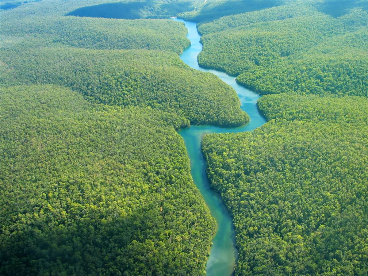 BR_Landschaft_TS134832578_Amazonas