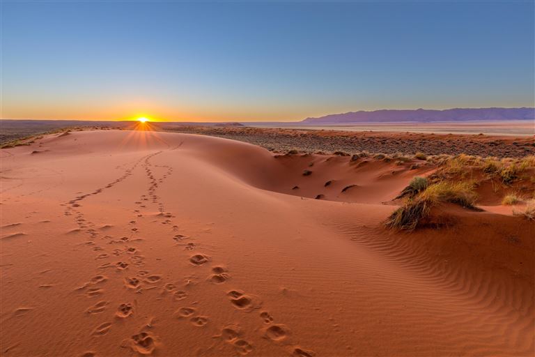 Zwischen Wüste und Wildnis – Rundreise