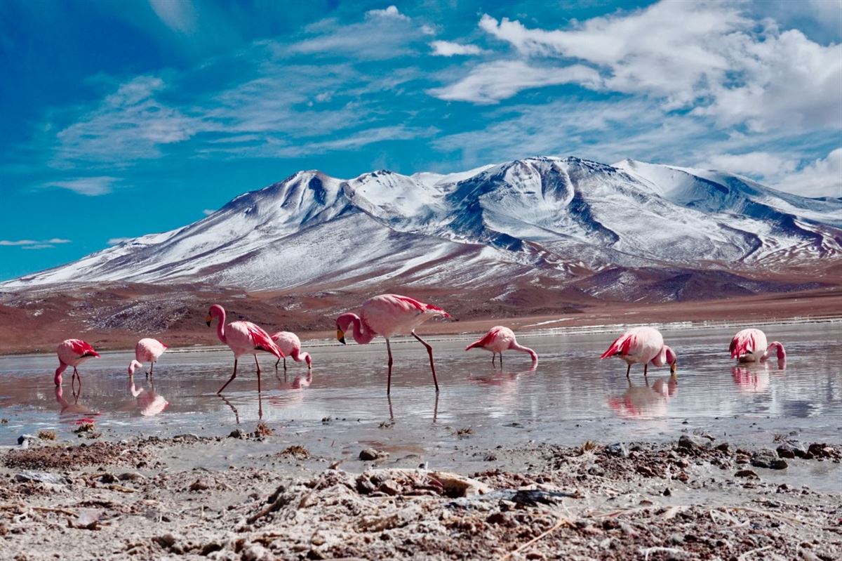 Chile