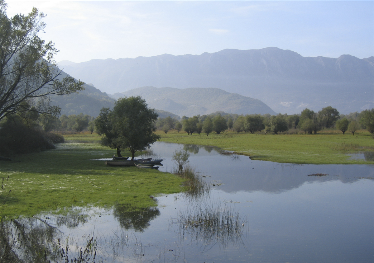 Am Skutari- oder Skadar-See