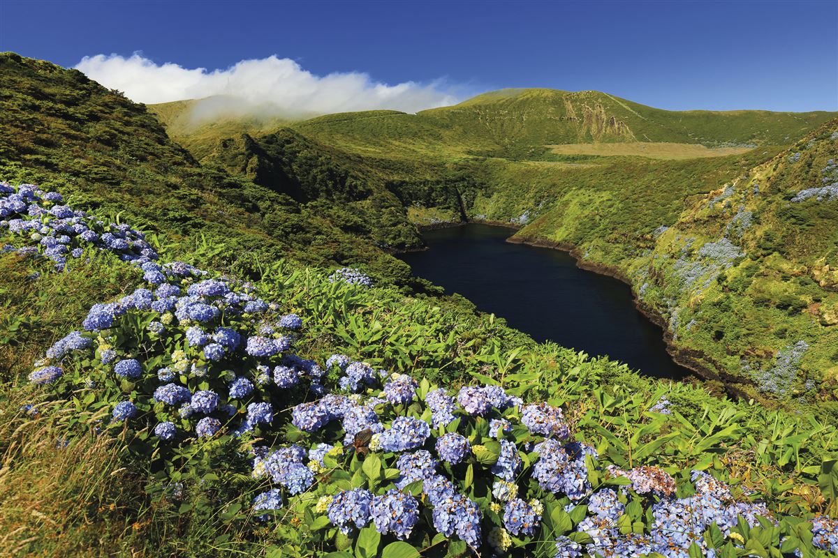 Arzoren Archipel, blumige Insel