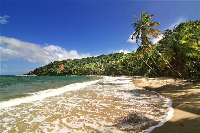 Dominica - Insel für Entdecker – Rundreise