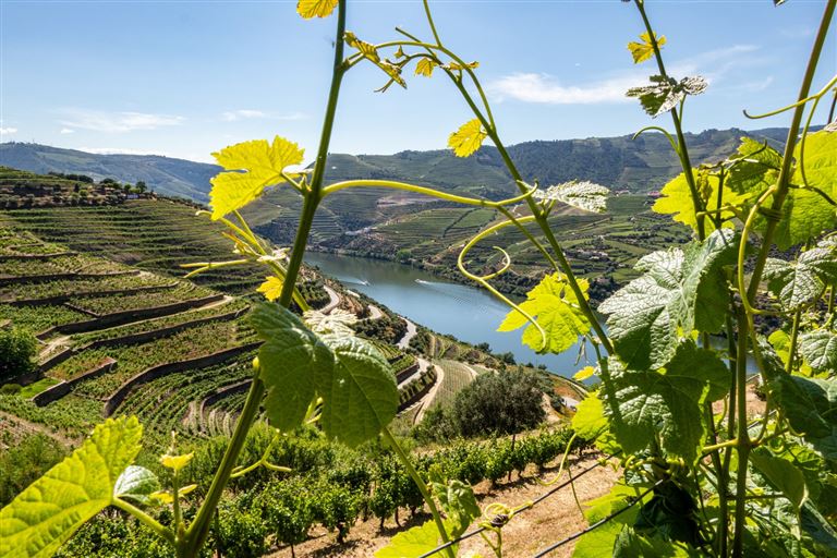 Wasser und Wein – Rundreise