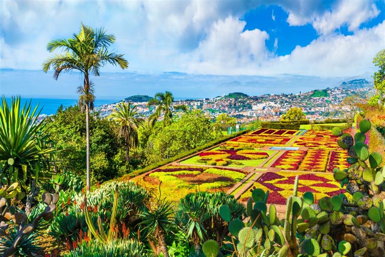 Madeira mit Flair @Balate Dorin/adobestock
